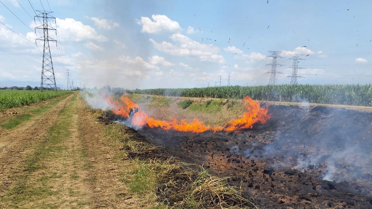 Denuncian que son más de 1.300 incendios los que se han presentado en los cultivos de caña del Valle del Cauca 