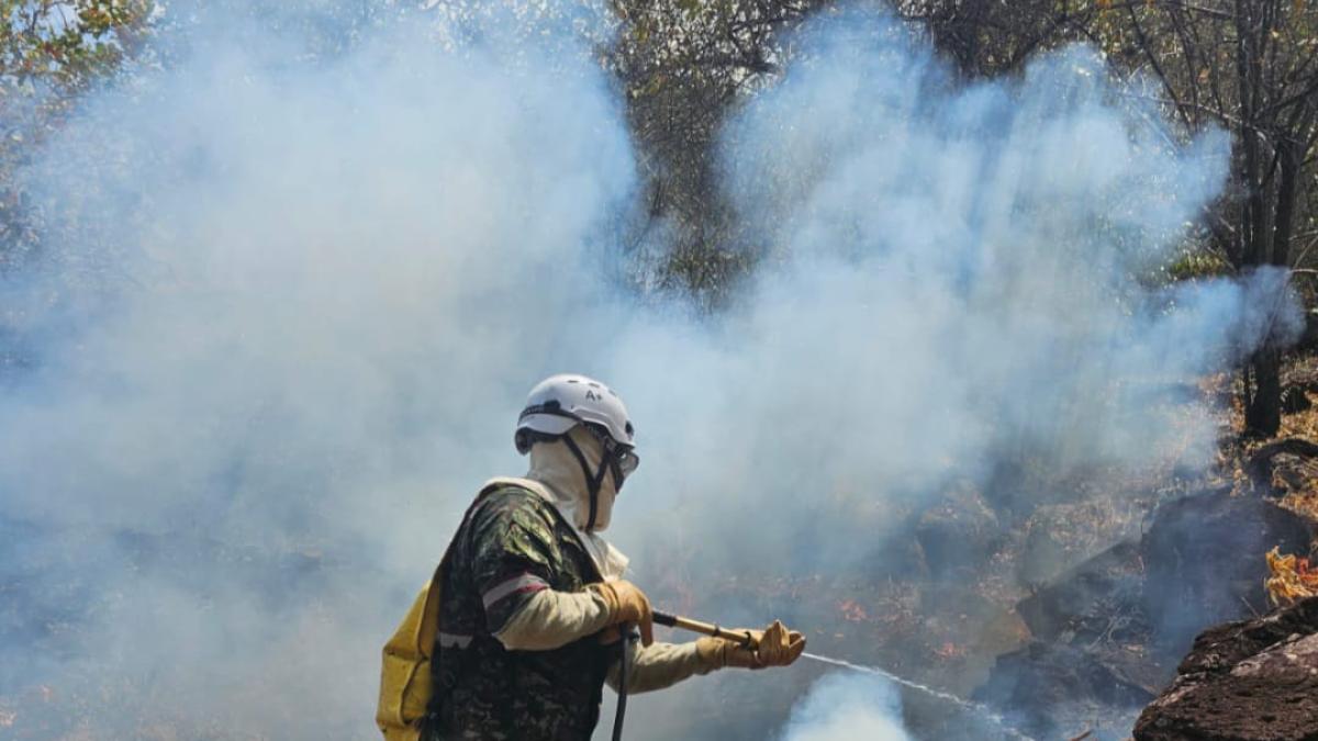 En Tolima están ofreciendo recompensas para que se ayude a capturar a quienes provoquen incendios forestales