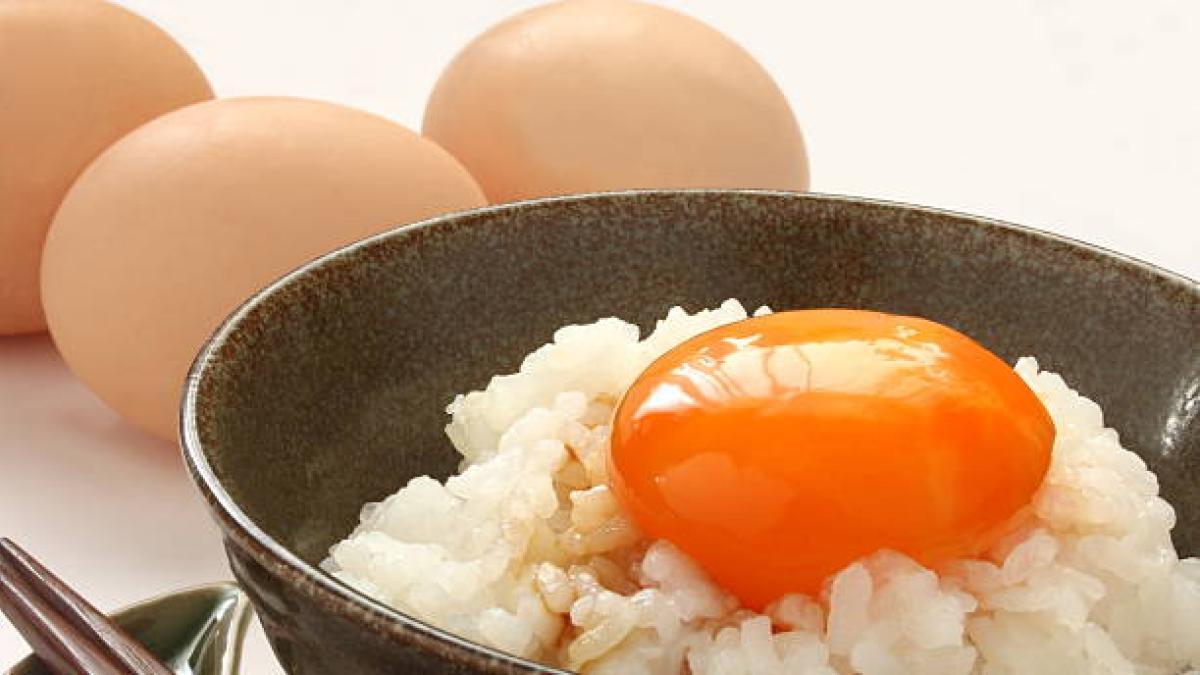 ¿Cuáles son los beneficios de comer arroz con huevo? Todo lo que necesita saber para mejorar su dieta