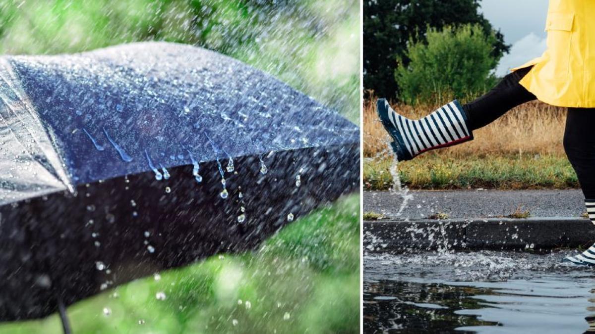 Dónde conseguir botas, protectores de zapatos, chaquetas para la lluvia y paraguas baratos en Bogotá?