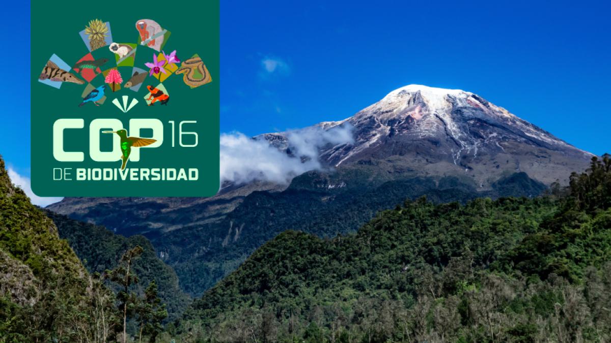 EL TIEMPO, Alfonso Bonilla Aragon Ödülleri 2024'te beş kategoride aday gösterildi