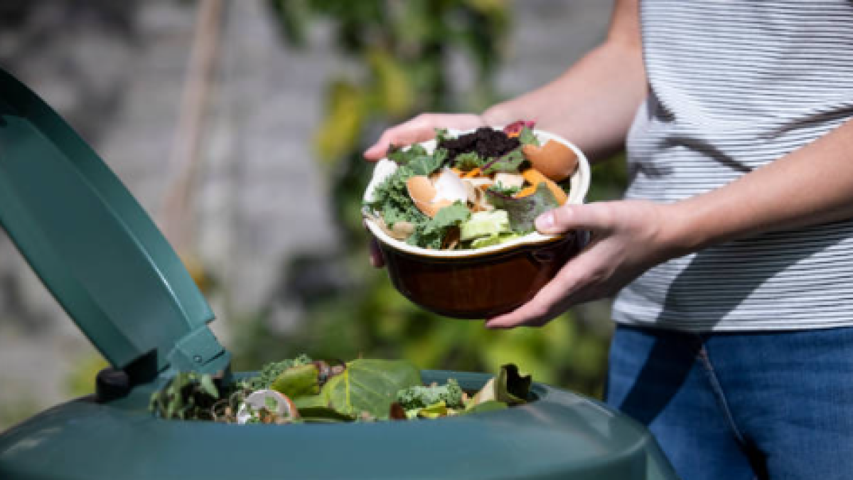 Ambientalista sacó comida en buen estado de la basura y fue enviado a la cárcel: supermercado asegura que se trató de un robo