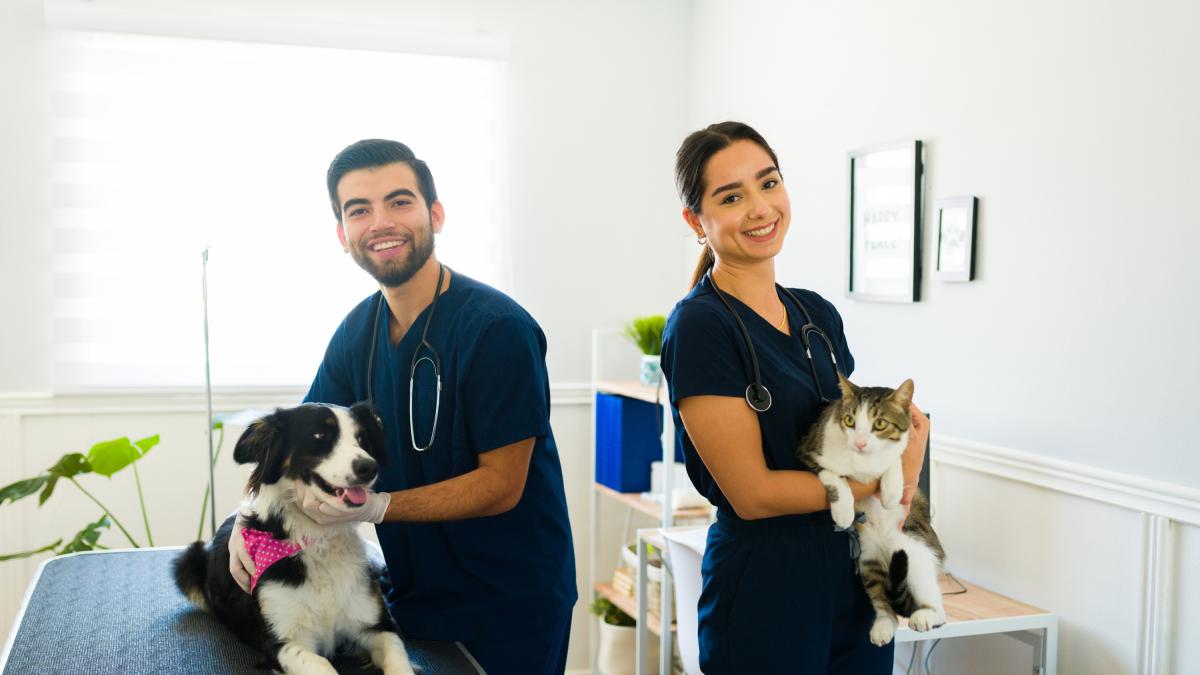 Oferta laboral para veterinarios en diferentes ciudades de Colombia, con sueldos de hasta 5 millones de pesos