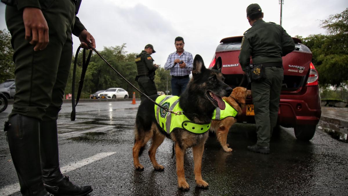 COP16: refuerzan seguridad de Cali con perros antiexplosivos y policías capacitados en Estados Unidos 