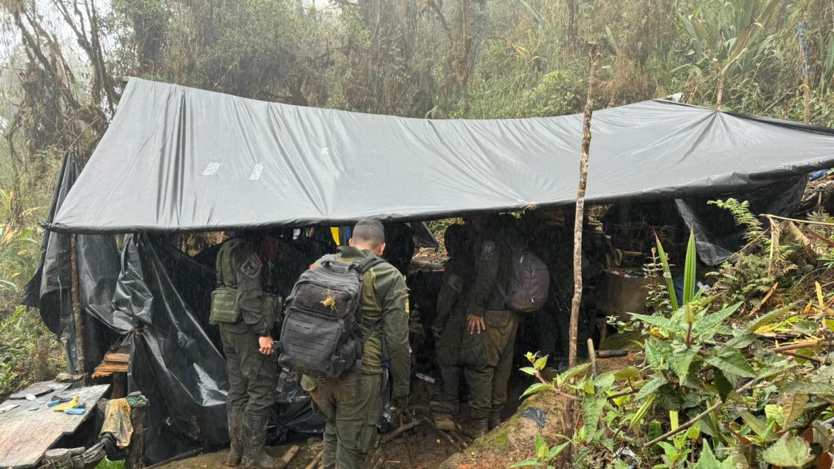 Video: así fue el nuevo golpe contra la minería ilegal en Farallones de Cali: 13 capturados y más minas cerradas 