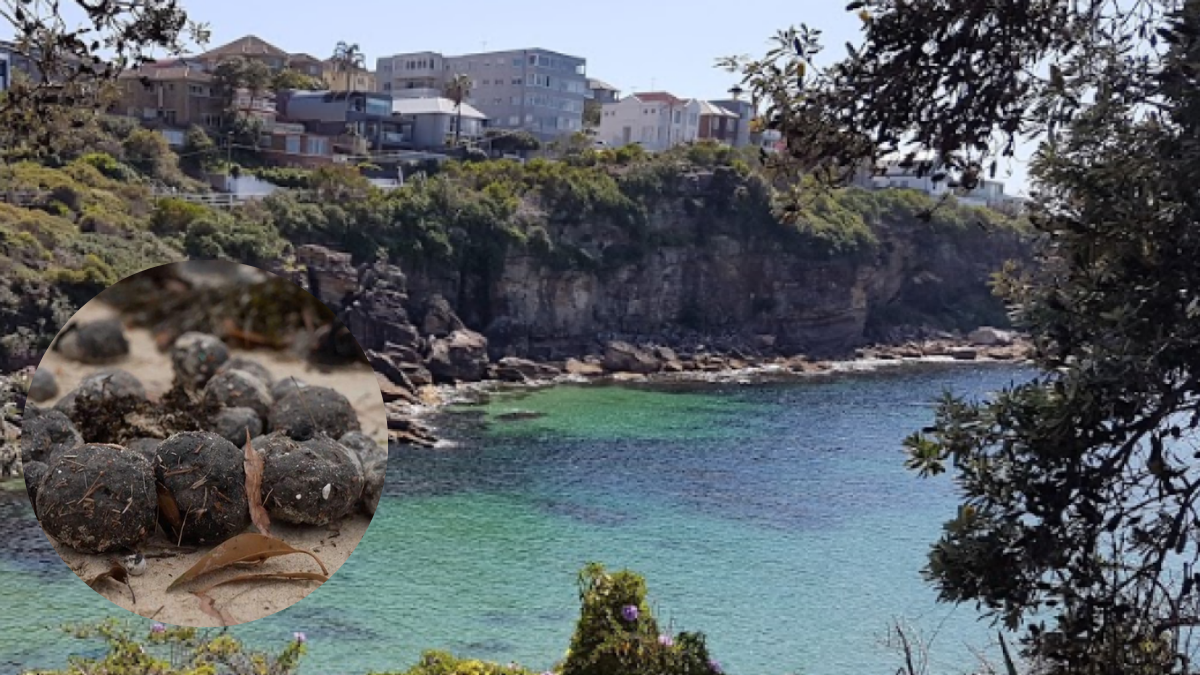 Sídney reabre sus playas tras determinar la sustancia de bolas de polución halladas: 'El material no es dañino'