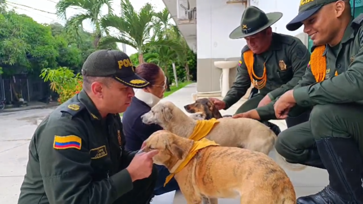 La historia de Tigre, el perrito que fue abandonado con cáncer y se recuperó en estación de Policía de Atlántico