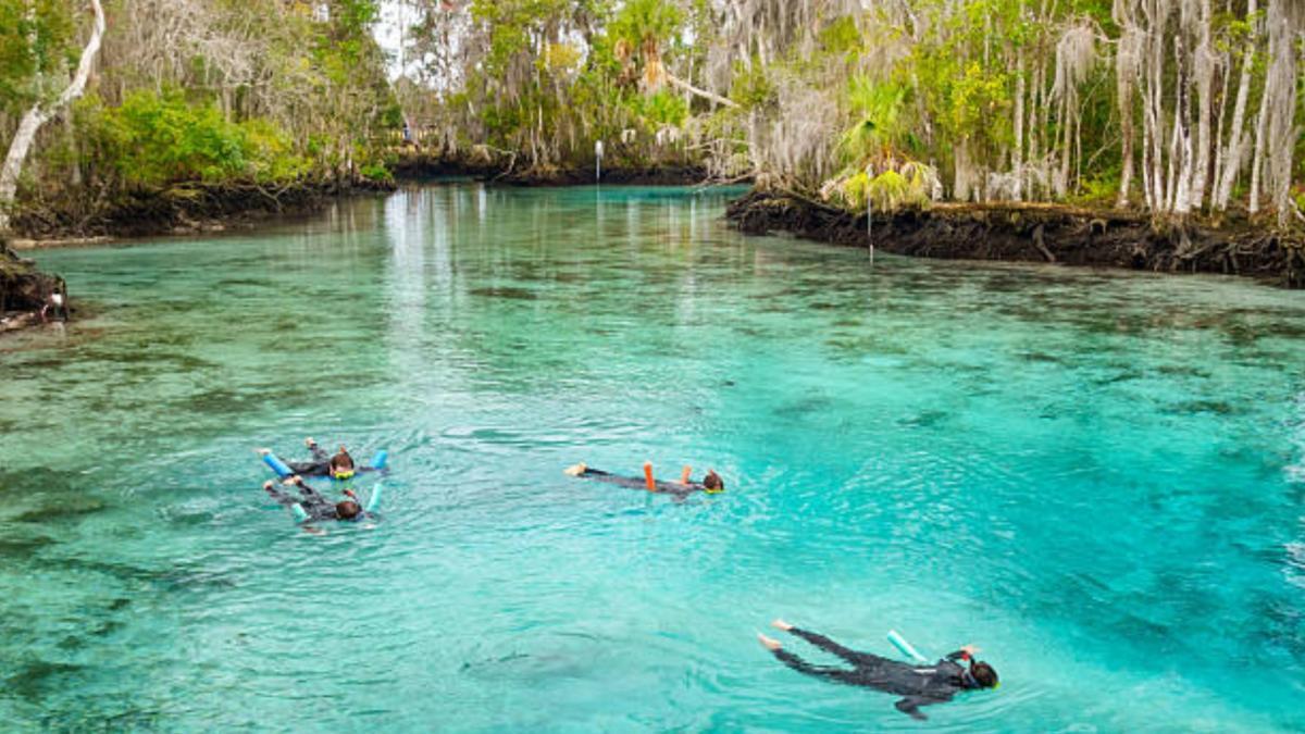 La joya natural de Florida que deja asombrado a cualquiera y debería visitar