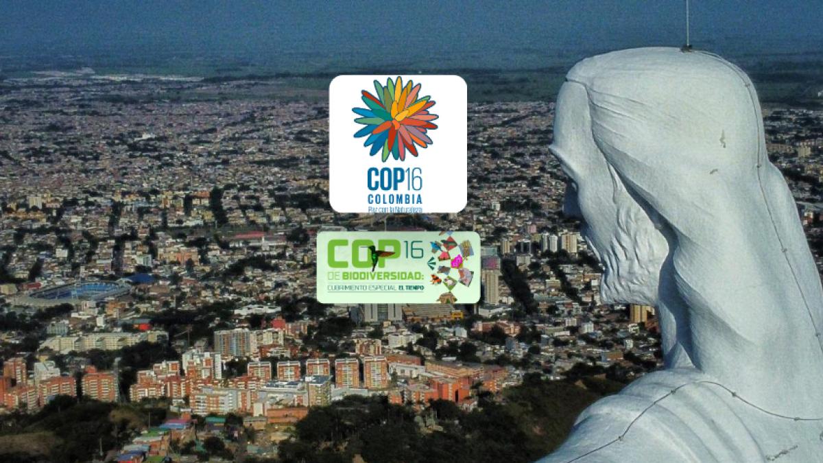 Programación de la COP16 en Cali | Estos son los links para que vea la agenda completa de eventos, conciertos y más en Zona Verde 