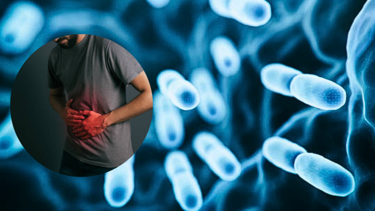 Bacteria E. coli: qué es, cuál es su efecto en la salud, los síntomas y ...