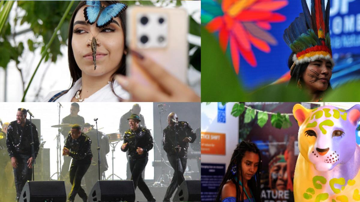 Programación de la COP16 para hoy 25 de octubre en Cali | Eventos, concierto del Grupo Niche y la agenda del quinto día