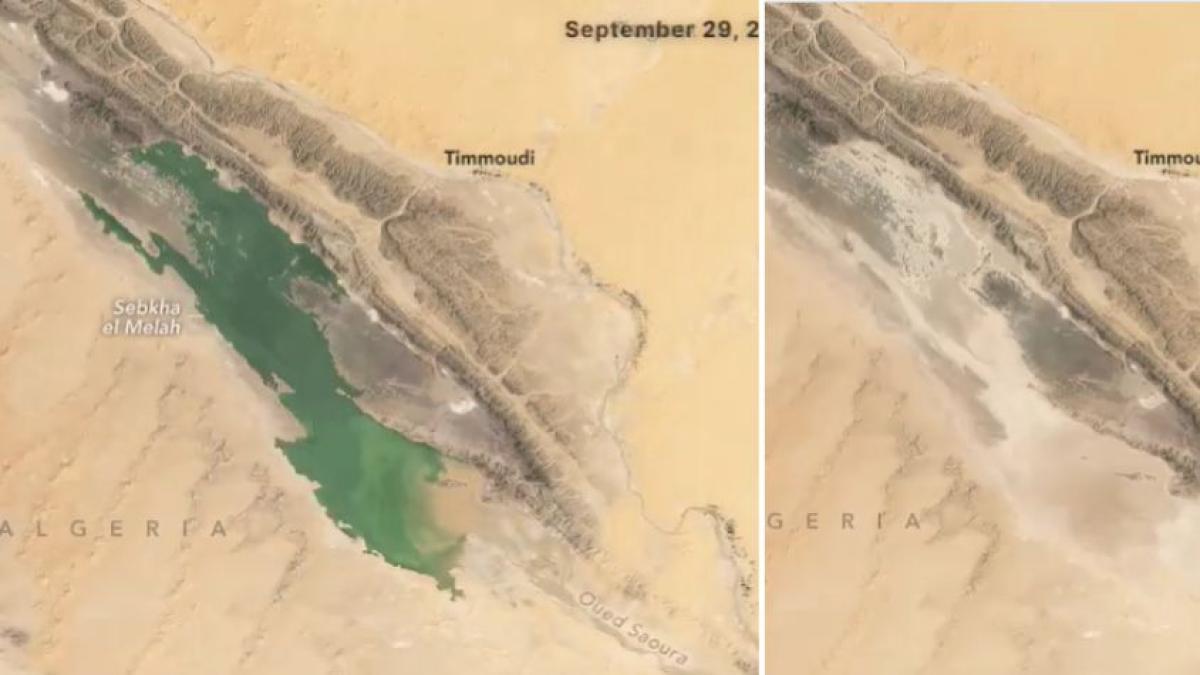 La Nasa muestra impactante cambio en el desierto del Sahara: están reapareciendo lagos