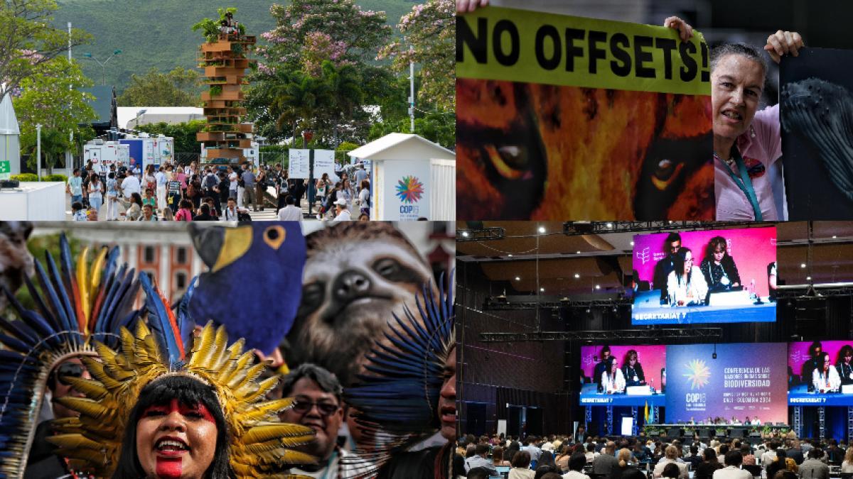 Programación de la COP16 hoy 29 de octubre en Cali | Eventos, conciertos y agenda del noveno día que se ha tomado Valle del Cauca 