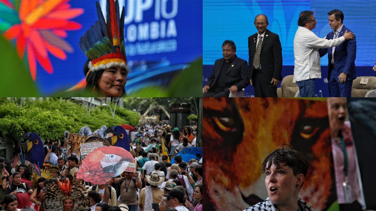 Programación de la COP16 hoy 30 de octubre en Cali | Eventos, segmento de alto nivel, conciertos y más agenda del décimo día 