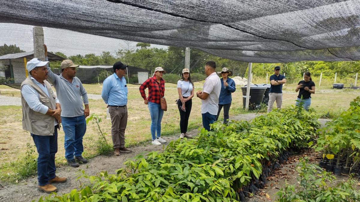 COP16: estas son las plantas naturales contra la minería ilegal que resisten el mercurio