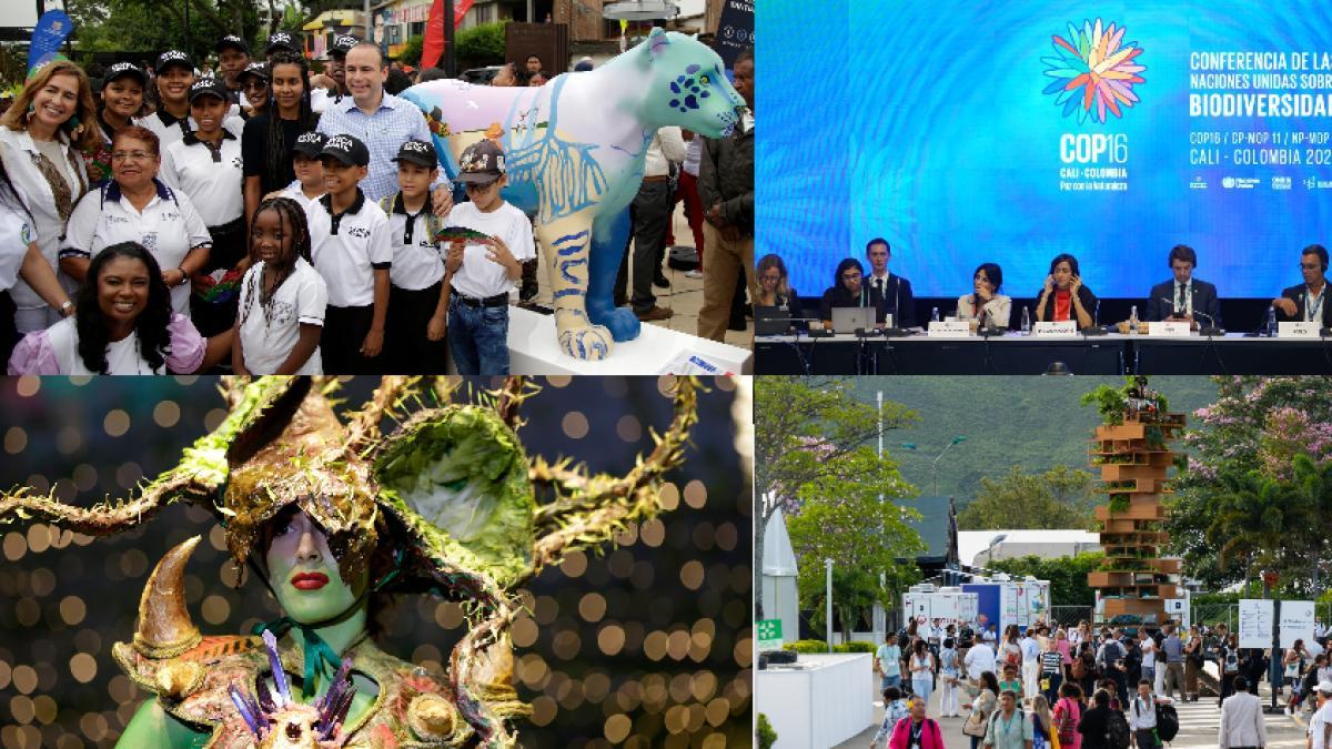 Programación de la COP16 hoy 31 de octubre en Cali | Pilas a los eventos, conciertos y más agenda de la recta final