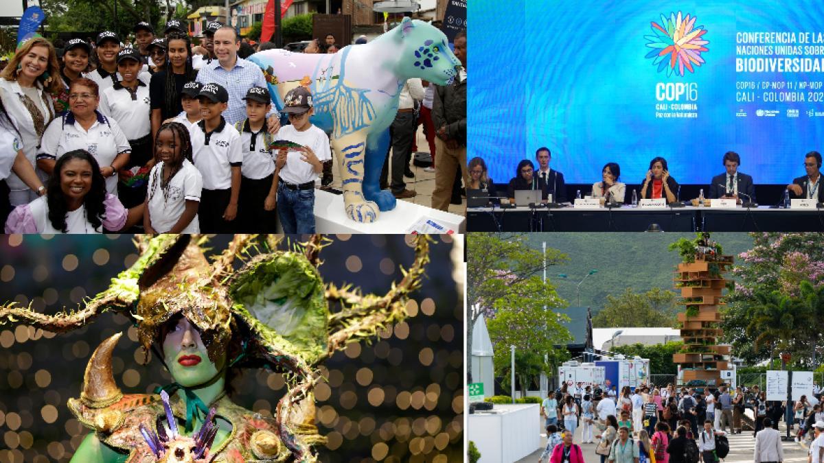 Programación de la COP16 hoy 31 de octubre en Cali | Pilas a los eventos, conciertos y más agenda del penúltimo día 