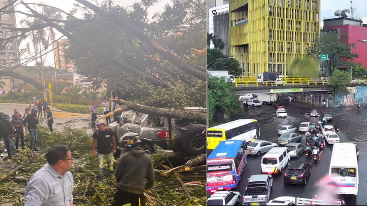 Las imágenes que dejaron las fuertes lluvias en Medellín este jueves: hubo ocho árboles caídos e inundaciones en las vías 