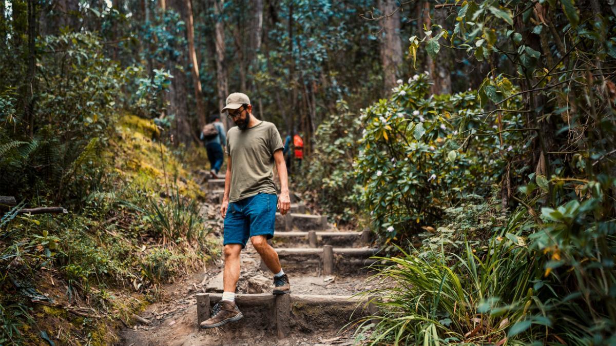 Bogotá: un tesoro verde para descubrir y disfrutar 