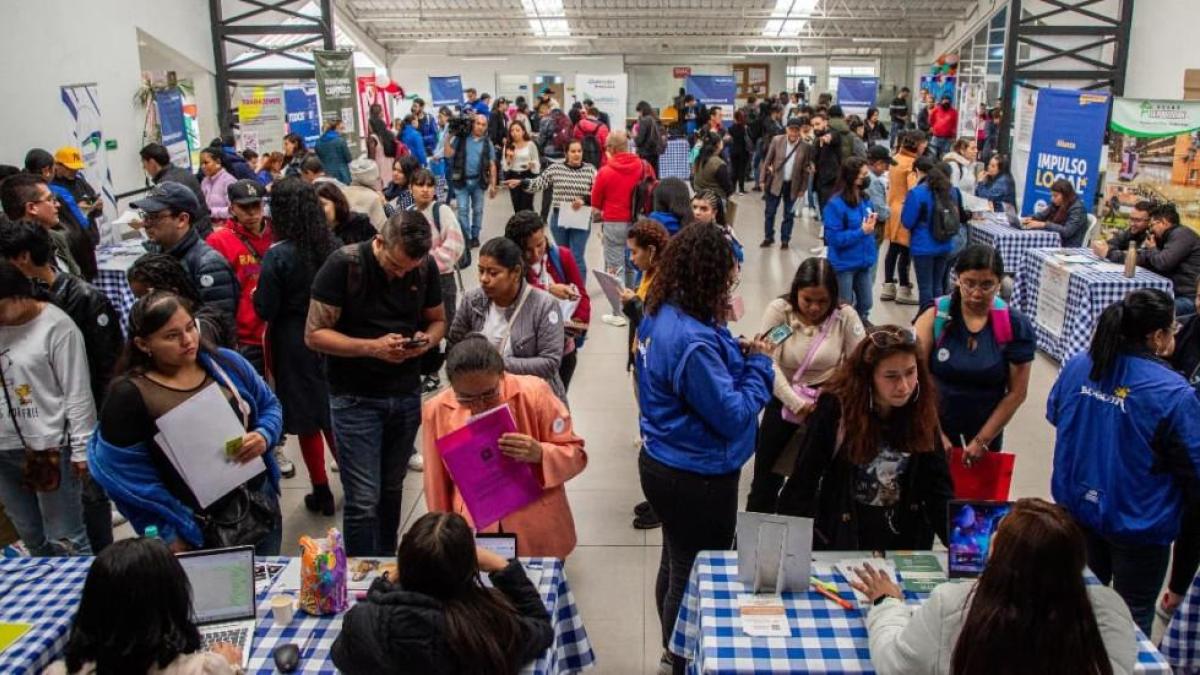 ¿Está en busca de trabajo? Conozca las 1.600 vacantes disponibles en Bogotá; hay vacantes en Bimbo, Koaj y más 