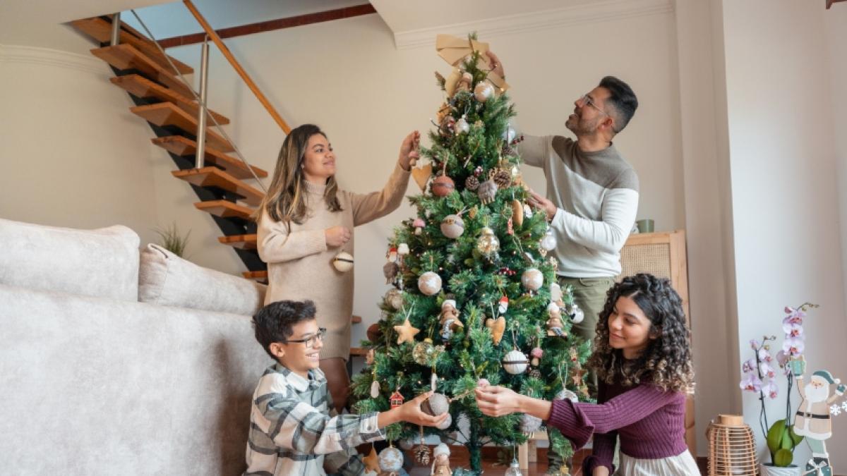 ¿Fin de los árboles de Navidad? La llamativa tendencia en esta región de Estados Unidos