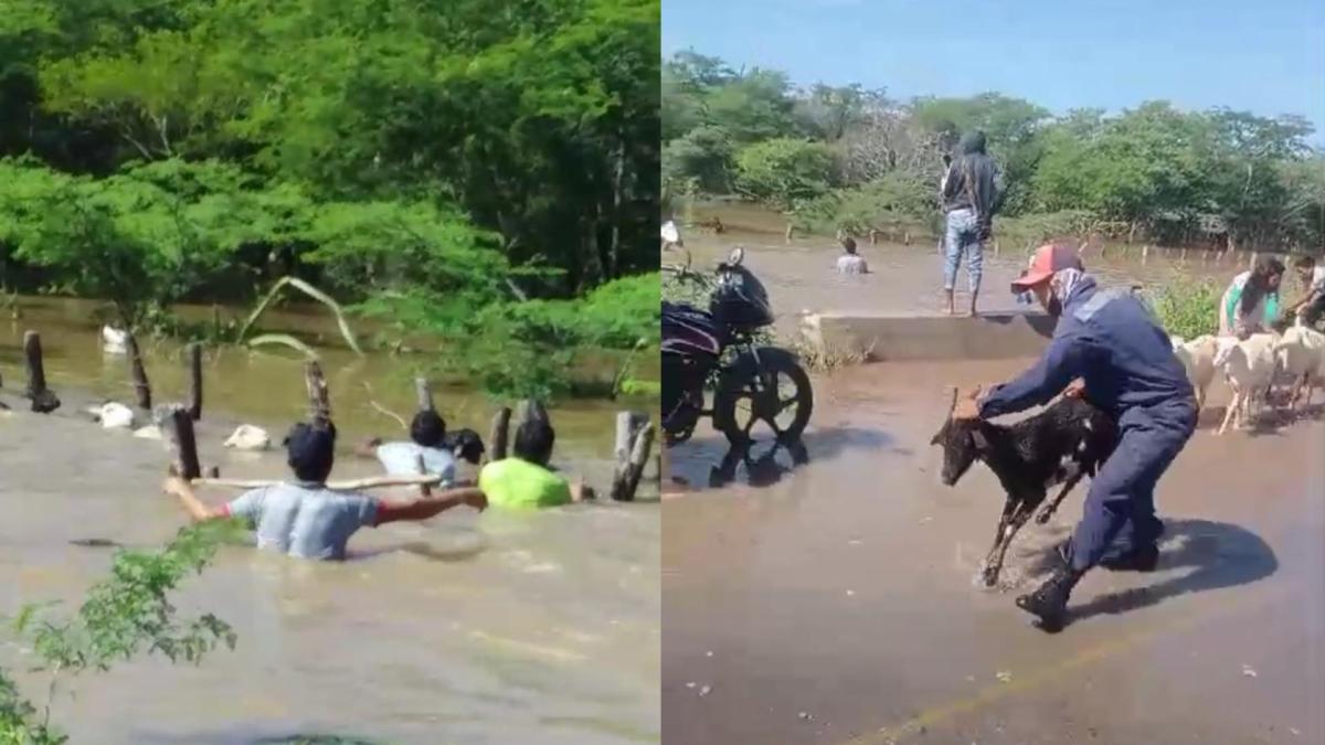 La Guajira : emergencia por desbordamiento del río Ranchería en Manaure y Riohacha afecta a comunidades wayús