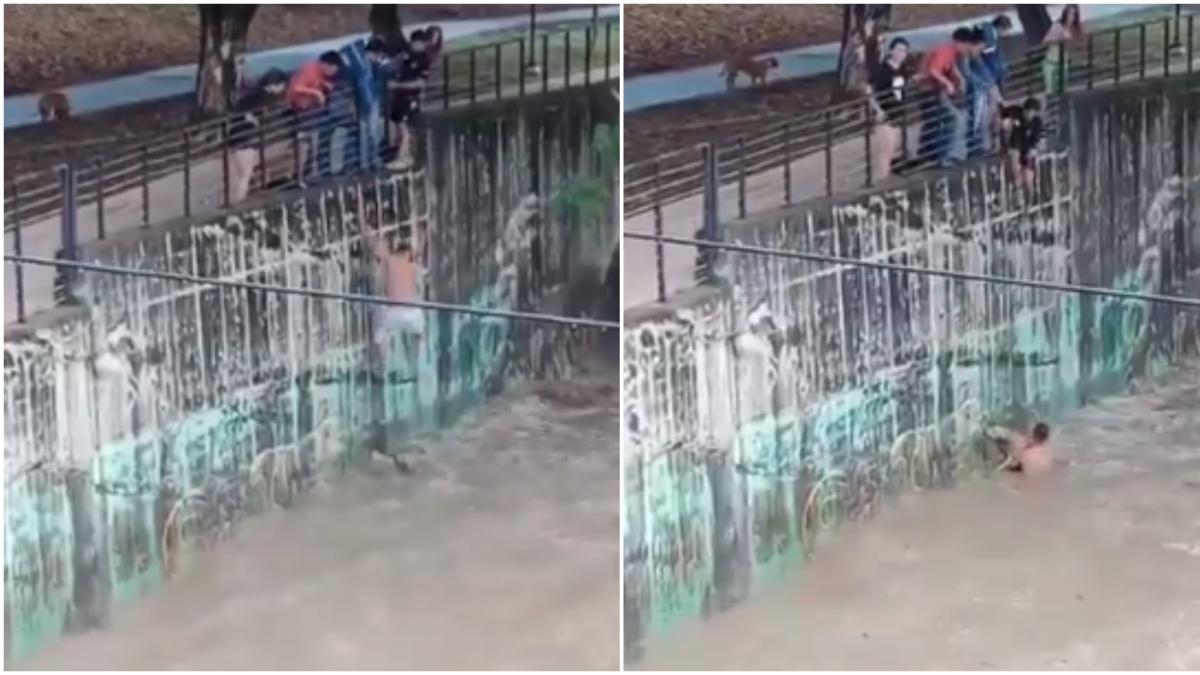 Video mostró la arriesgada y valerosa acción de joven que le salvó la vida a un perro que fue arrastrado por el río Las Ceibas, en Neiva