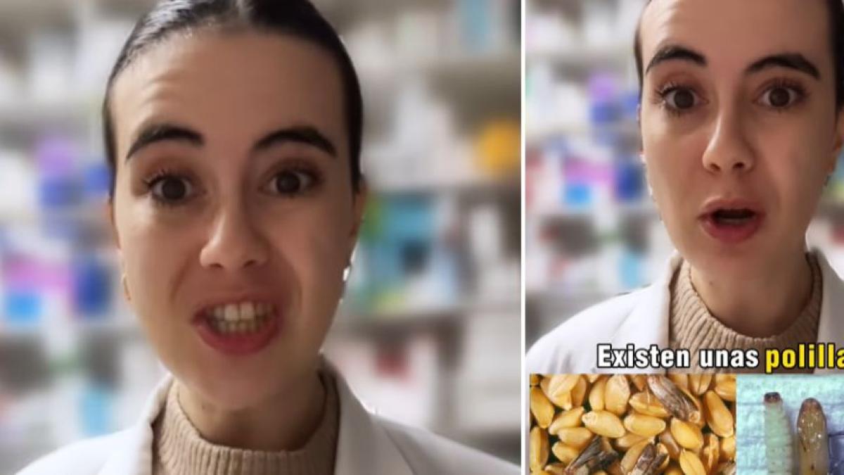 Experta advierte por qué no se debe almacenar la pasta o el arroz en envases de papel, cartón o plástico: ‘Hay una plaga peligrosa’