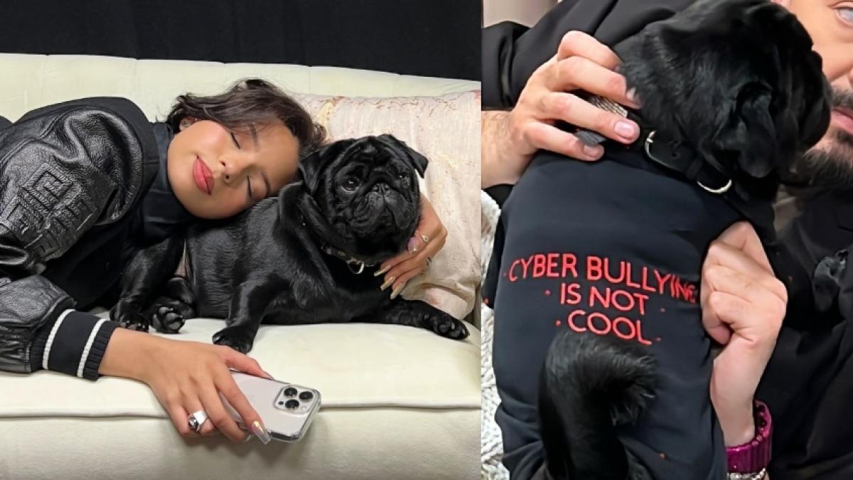 Ángela Aguilar se cansó del bullying y pidió que le bajen a la burla con una foto de su perro: ‘No es genial’