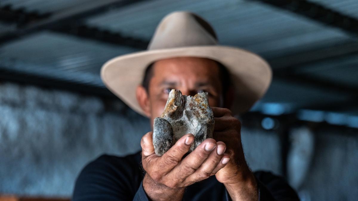 El misterio de los pájaros gigantes no voladores, conocidos como aves del terror, y el importante hallazgo de un colombiano