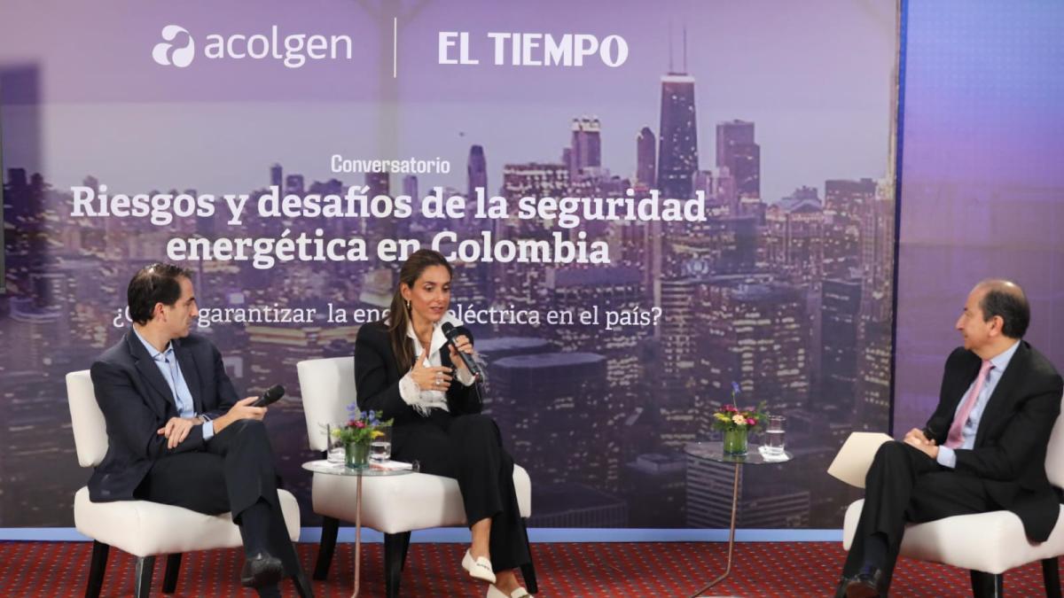 Las propuestas para el sector eléctrico ante el riesgo de apagón y la transición energética