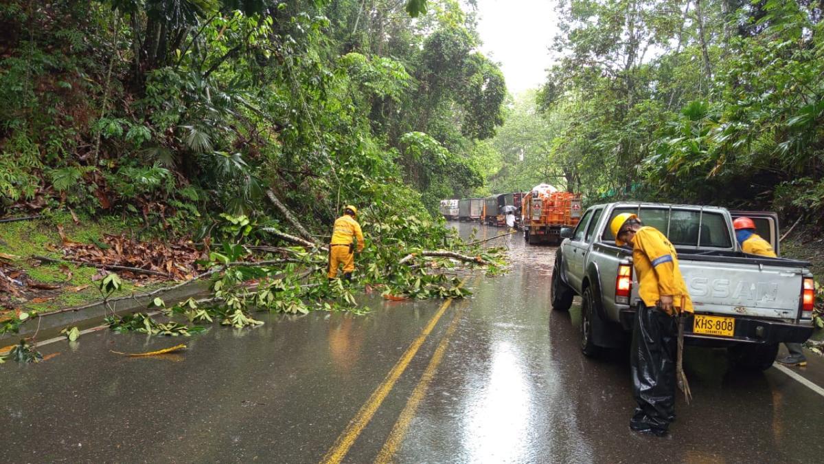 Abren a un carril la vía Medellín-Bogotá tras derrumbe y caída de árboles