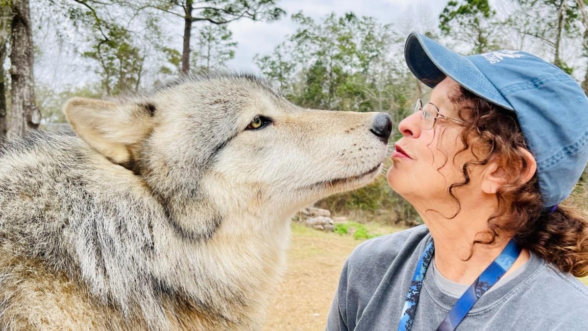 El lugar de Florida que parece como sacado de un cuento y debería visitar