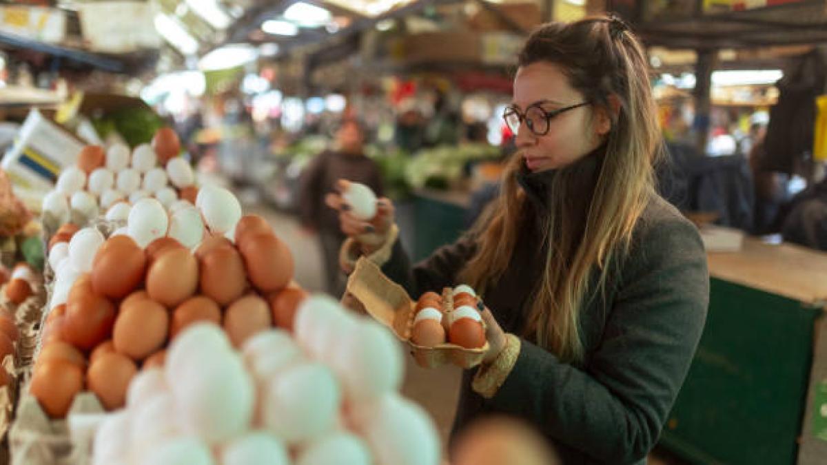 Tiendas Ara está regalando una cubeta de 12 huevos AA a sus clientes: estas son las condiciones para obtenerla gratis