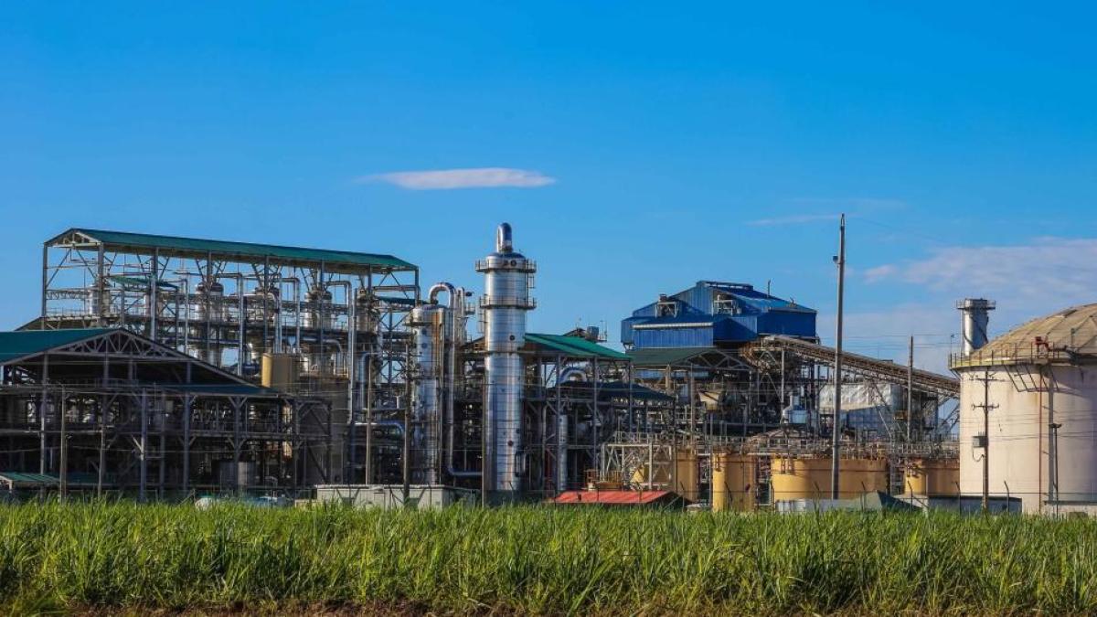 Ecopetrol'ün eski bir yan kuruluşu olan Bioenergy davasında Mali İşler Dairesi'nin 1 milyar dolarlık kararının anahtarı