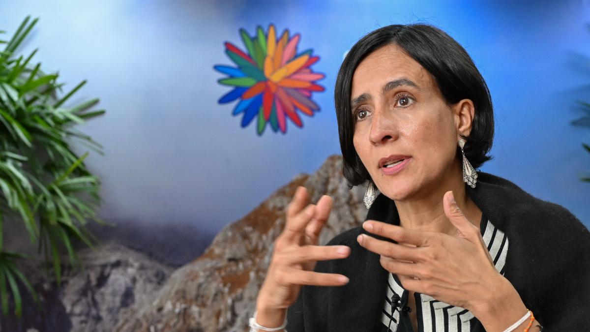 Çevresel lisanslardaki iklim değişikliğinin analizini talep etmek için sabit kesinti tarihi