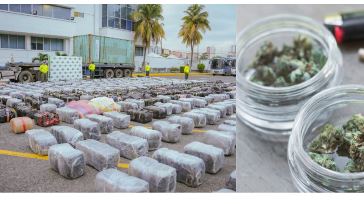 Conductor en Ibagué huyó tras volcarse en plena persecución policial: transportaba cerca de una tonelada de marihuana