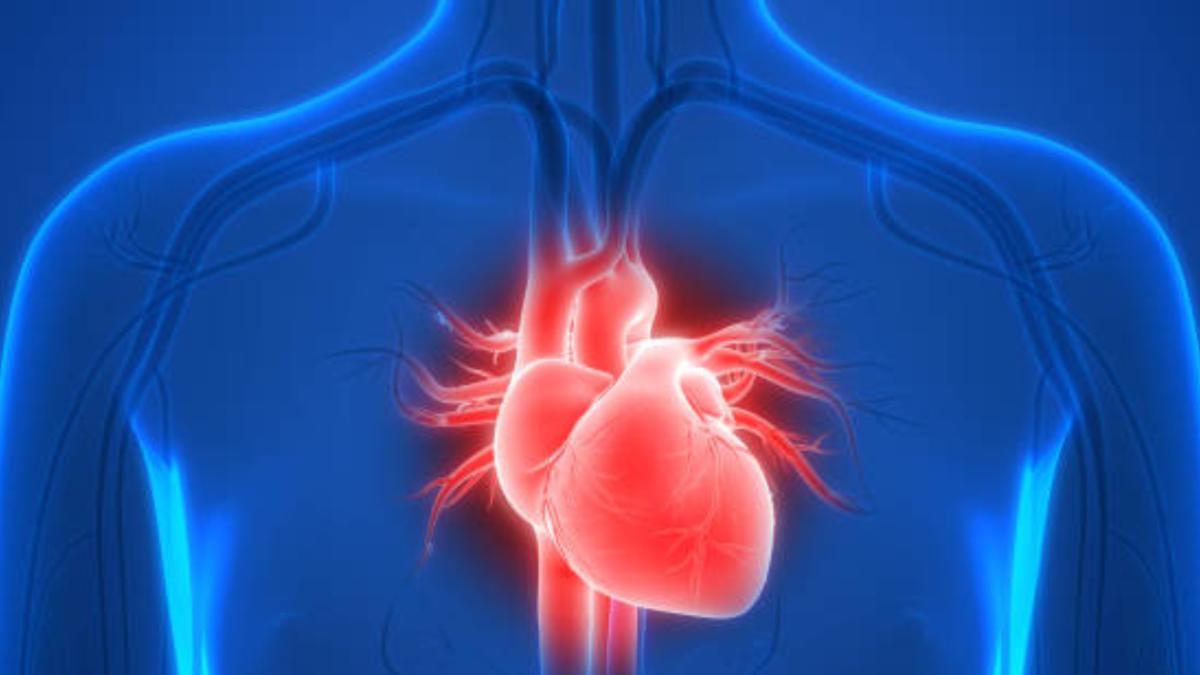 Cuál es el alimento frecuente que es clave para la salud del corazón, según Harvard