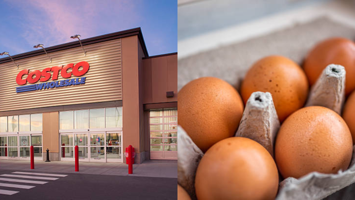 Estados Unidos elevó la alerta por los huevos retirados en Costco: cómo saber si compró uno