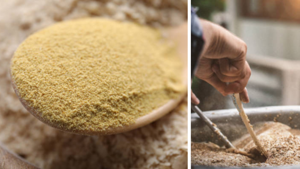 Científicos desarrollan el alimento del futuro inspirados en el proceso de la cerveza lleno de proteínas y vitamina B9