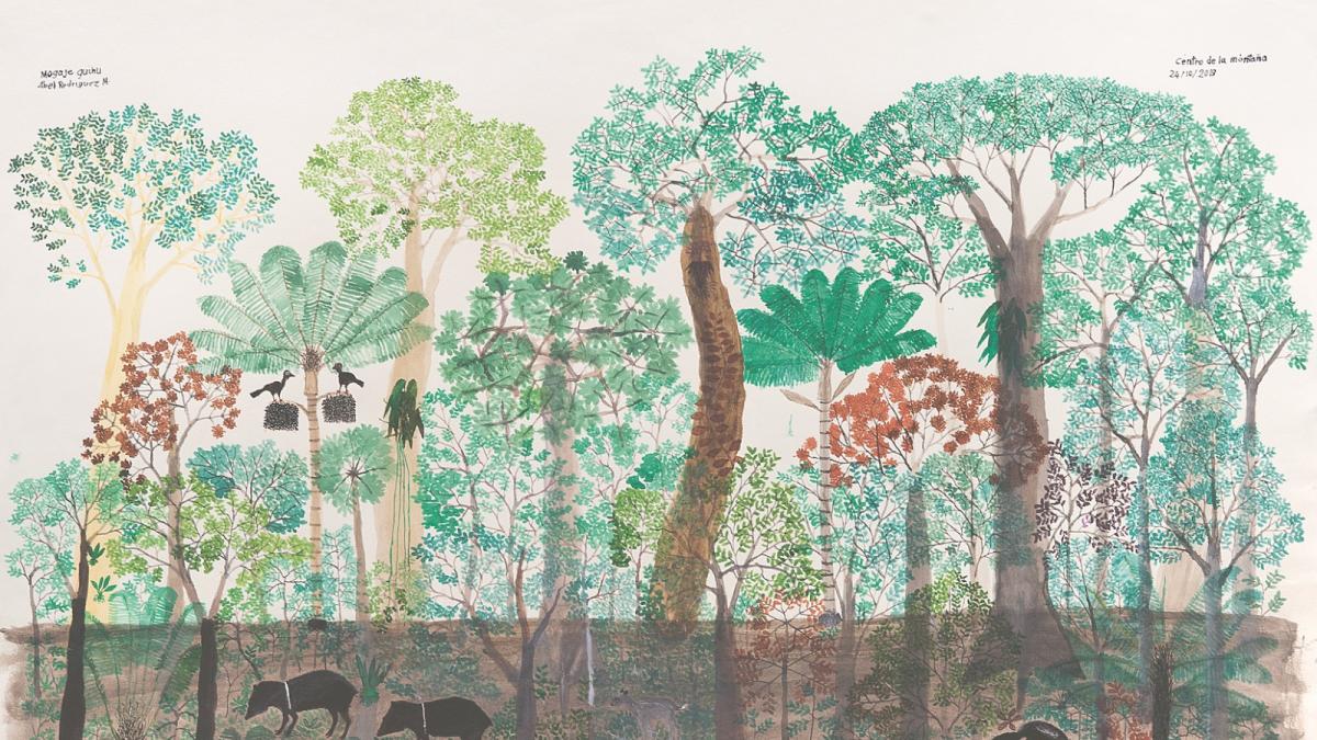 Abel Rodríguez, más que un artista, un sabio de las plantas amazónicas