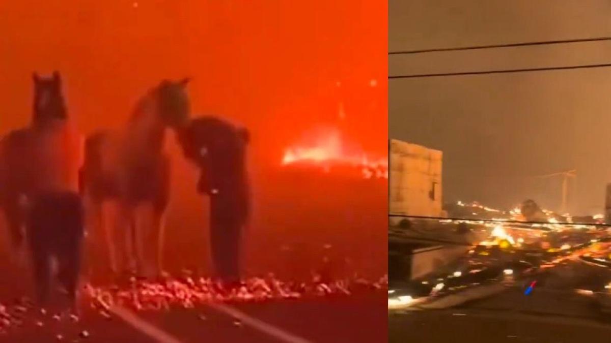 Fotos: antes y después de las mansiones de las celebridades de Hollywood tras incendio en Los Ángeles