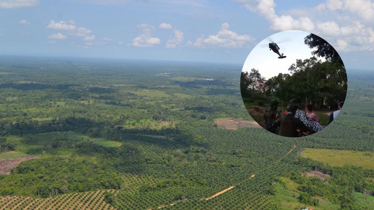 Norte de Santander'de yaşanan yeni şiddet dalgasının tetikleyicileri koka ve gasp