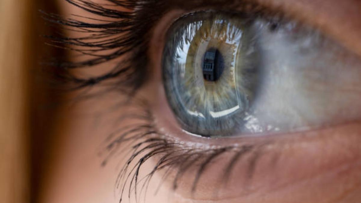 La ciencia revela que las mujeres tienen un superpoder en su visión: qué es el tetracromatismo o 'visión de águila'