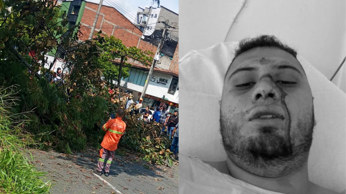 Víctima de caída de árbol en Medellín denuncia negligencia por parte del SOAT y la EPS