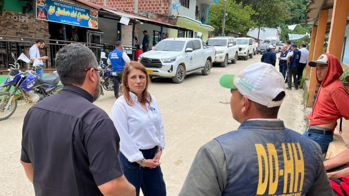 Defensoría iç şok kararını savundu, ancak kontrol ve halka açık duruşma istedi