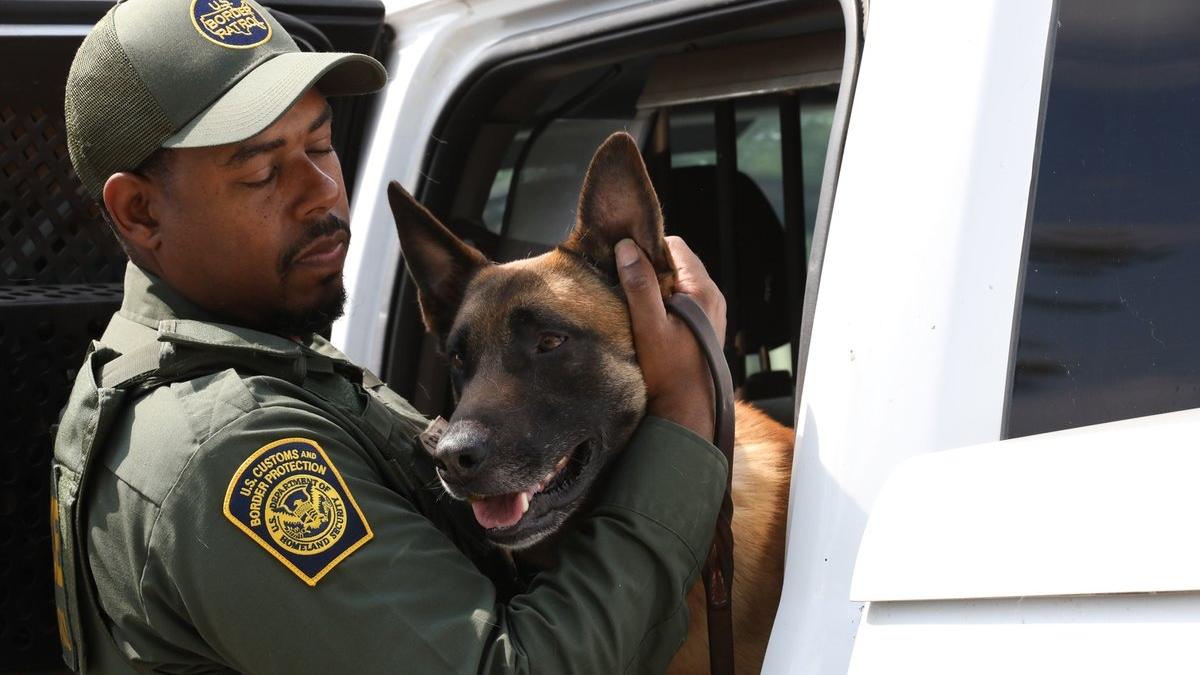 Quisieron entrar por Eagle Pass, Texas, y CBP encontró algo que nunca esperó en su auto