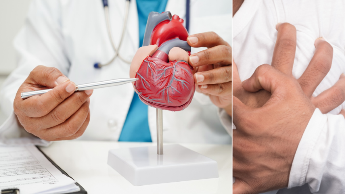 ¡Adiós al Contador de Pasos! La Sorprendente Forma de Medir tu Salud Cardiovascular (Según la Ciencia)