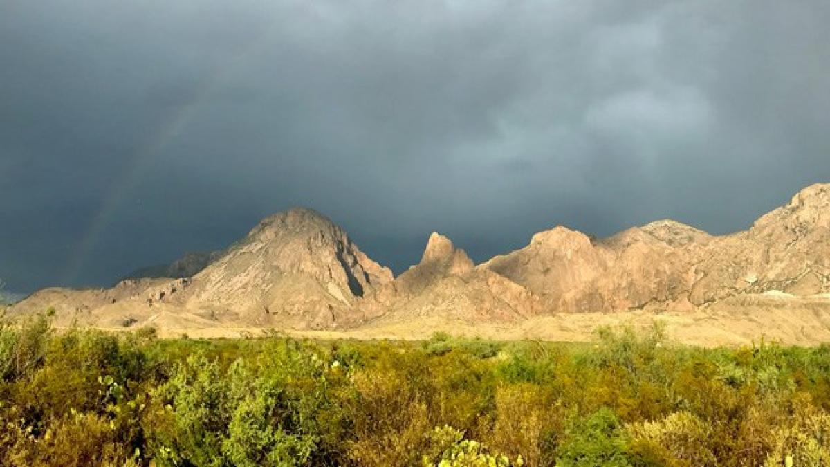 El bosque de Texas que sí o sí tiene que visitar para un día relajante (es maravilloso)