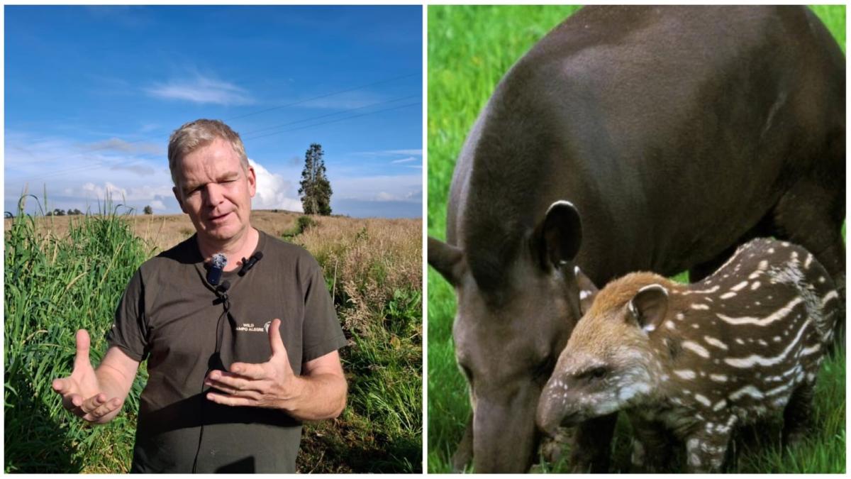 Kolombiya'ya aşık olan ve kahve ekseninin biyolojik çeşitliliğini korumak için bir doğa rezervi oluşturan Danimarkalı